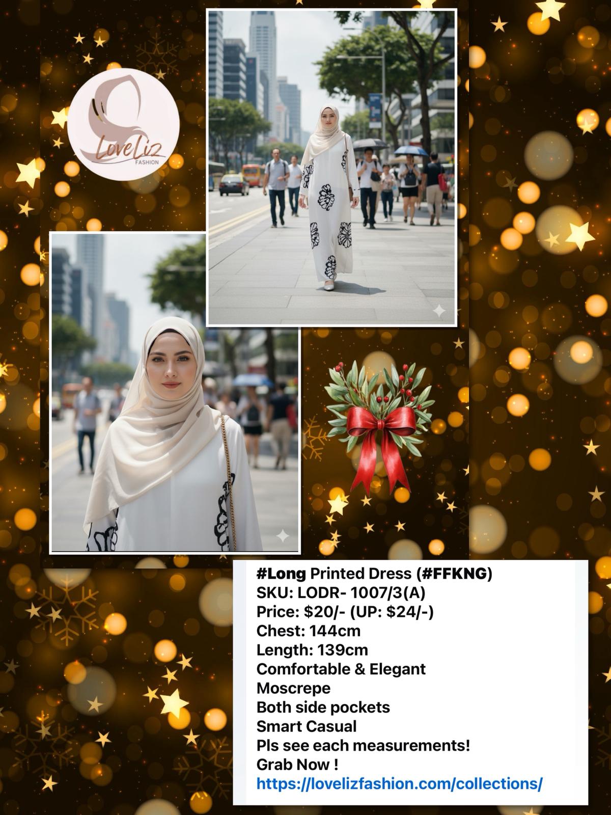 Long Printed Dress (LODR- 1007/3(A)) (#FFKNG)