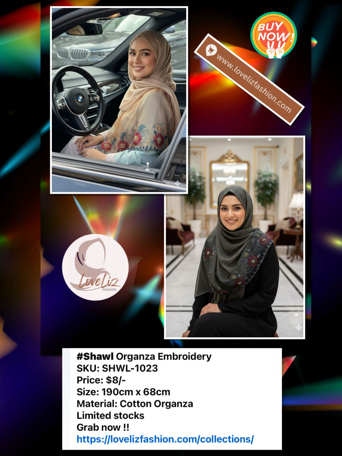 Shawl Organza Embroidery (SHWL-1023)